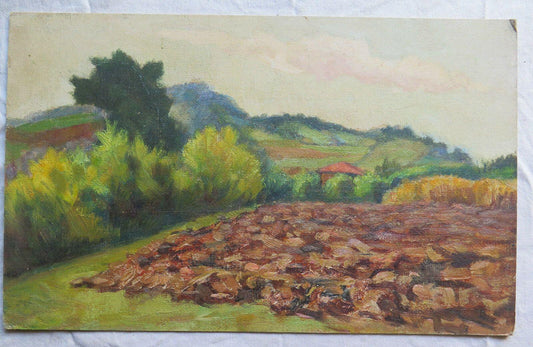 PAESAGGIO DI CAMPAGNA CON CAMPI COLTIVATI QUADRO AD OLIO SU TAVOLA 43x27 cm p9 - Belbello Antiques