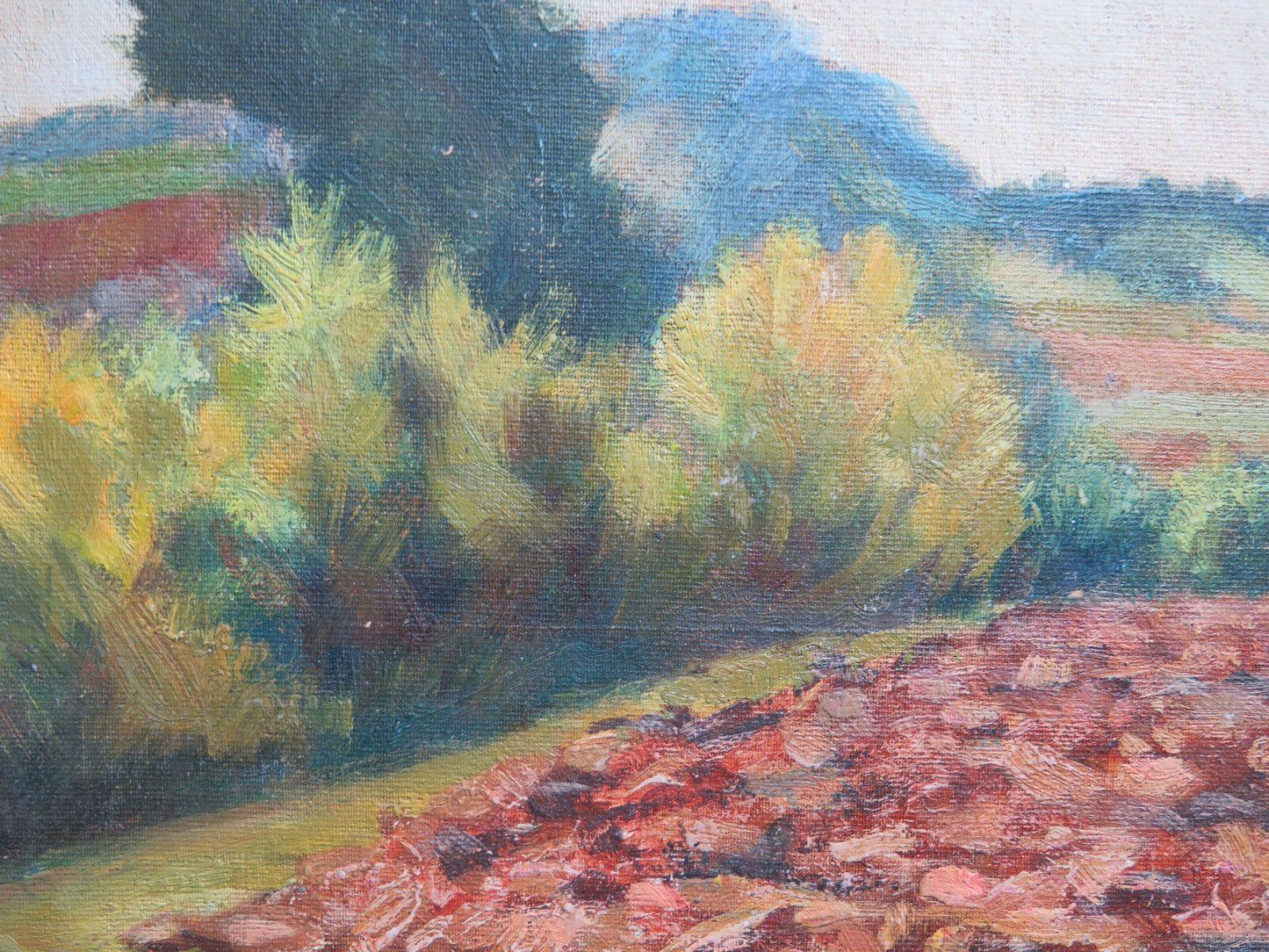 PAESAGGIO DI CAMPAGNA CON CAMPI COLTIVATI QUADRO AD OLIO SU TAVOLA 43x27 cm p9 - Belbello Antiques