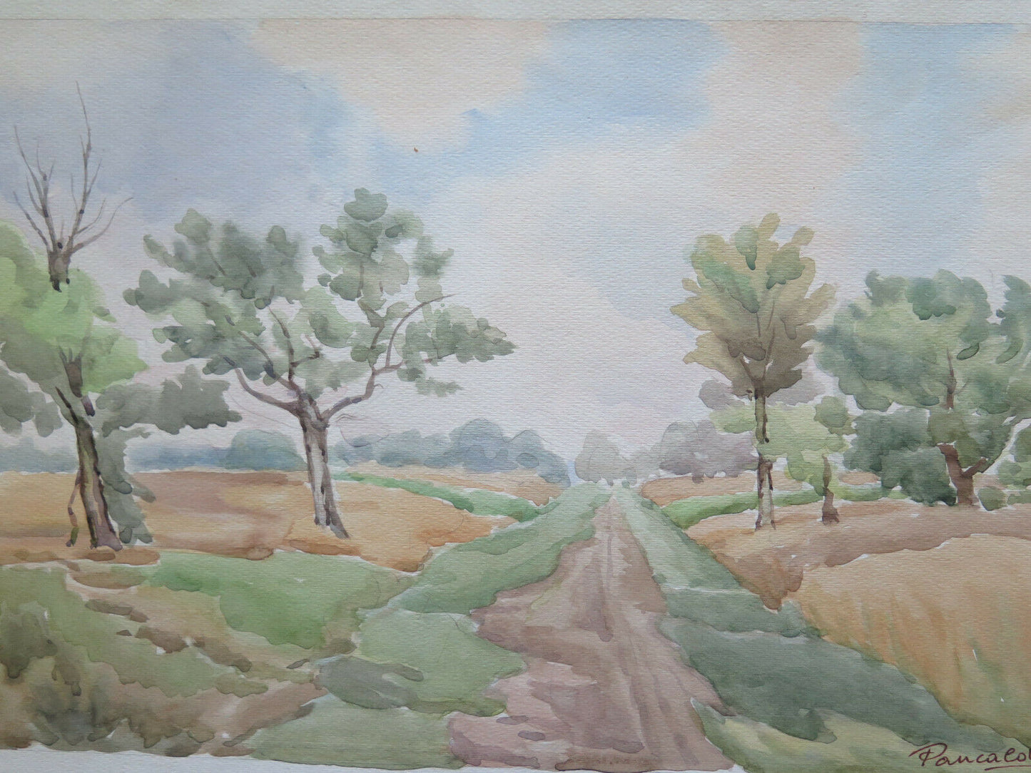 PAINTING SUMMER LANDSCAPE EMILIA ROMAGNA SIGNED PANCALDI PAINTER OF MODENA P14