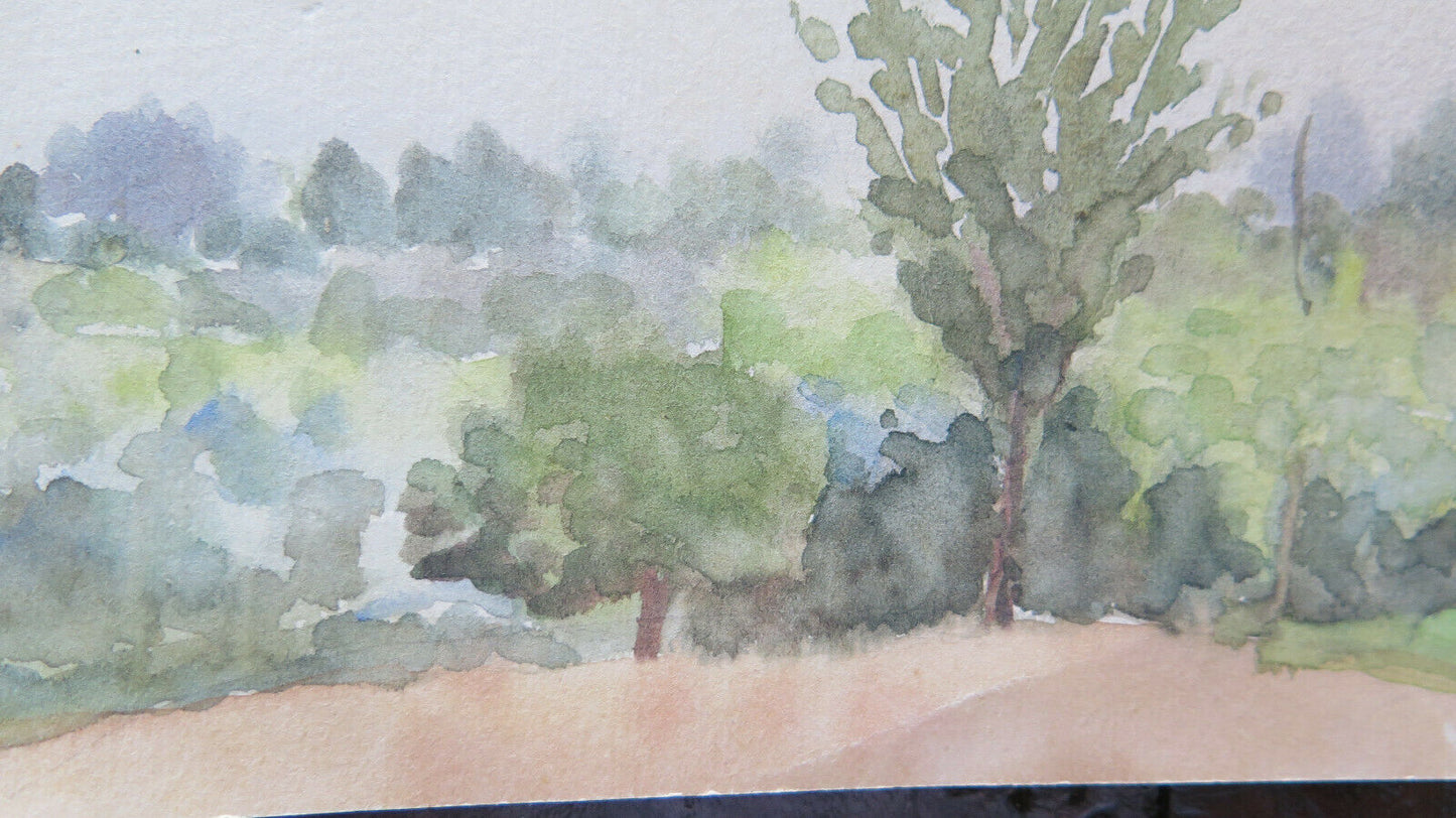 OLD WATERCOLOR ON PAPER SKETCH SKETCH COUNTRY LANDSCAPE VINEYARDS P28.4