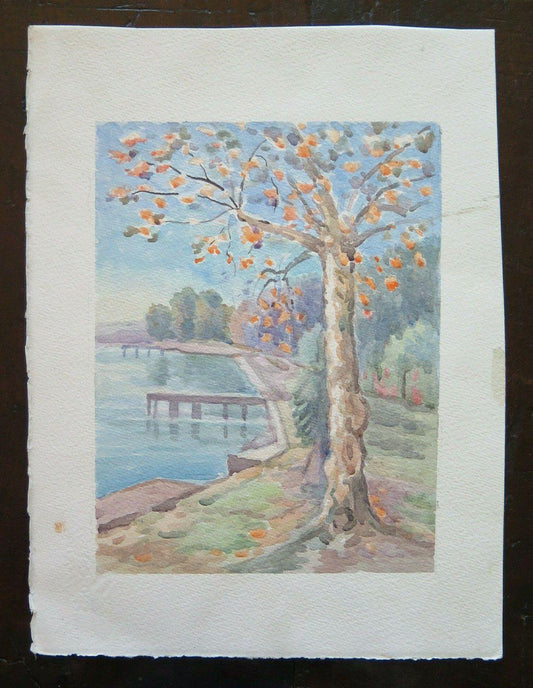 QUADRO PAESAGGIO DI CAMPAGNA RIVA LAGO OPERA DI PANCALDI PITTORE DI MODENA  P14 - Belbello Antiques