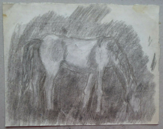 VECCHIO DISEGNO CON CAVALLO EQUESTRE BOZZETTO SCHIZZO SPAGNA VINTAGE QUADRO MD10 - Belbello Antiques