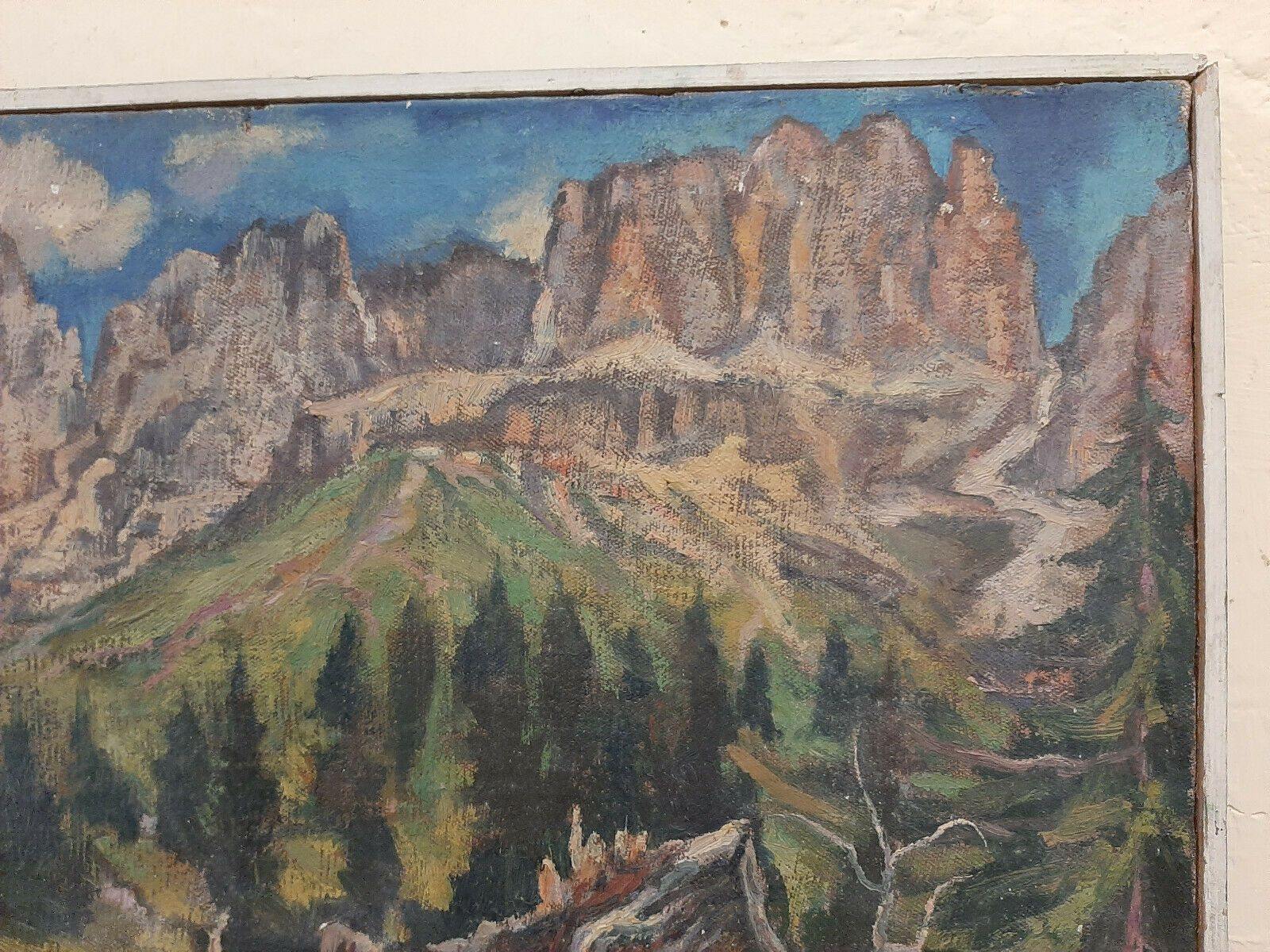 QUADRO OLIO TELA PAESAGGIO MONTAGNE DOLOMITI CATINACCIO Rosengarten DIPINTO P27 - Belbello Antiques