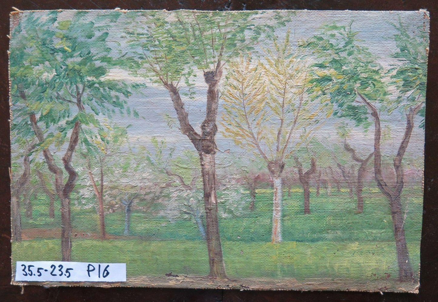 35x23 cm QUADRO DIPINTO AD OLIO SU TELA VINTAGE ANNI 40 PAESAGGIO BOSCHI P16 - Belbello Antiques