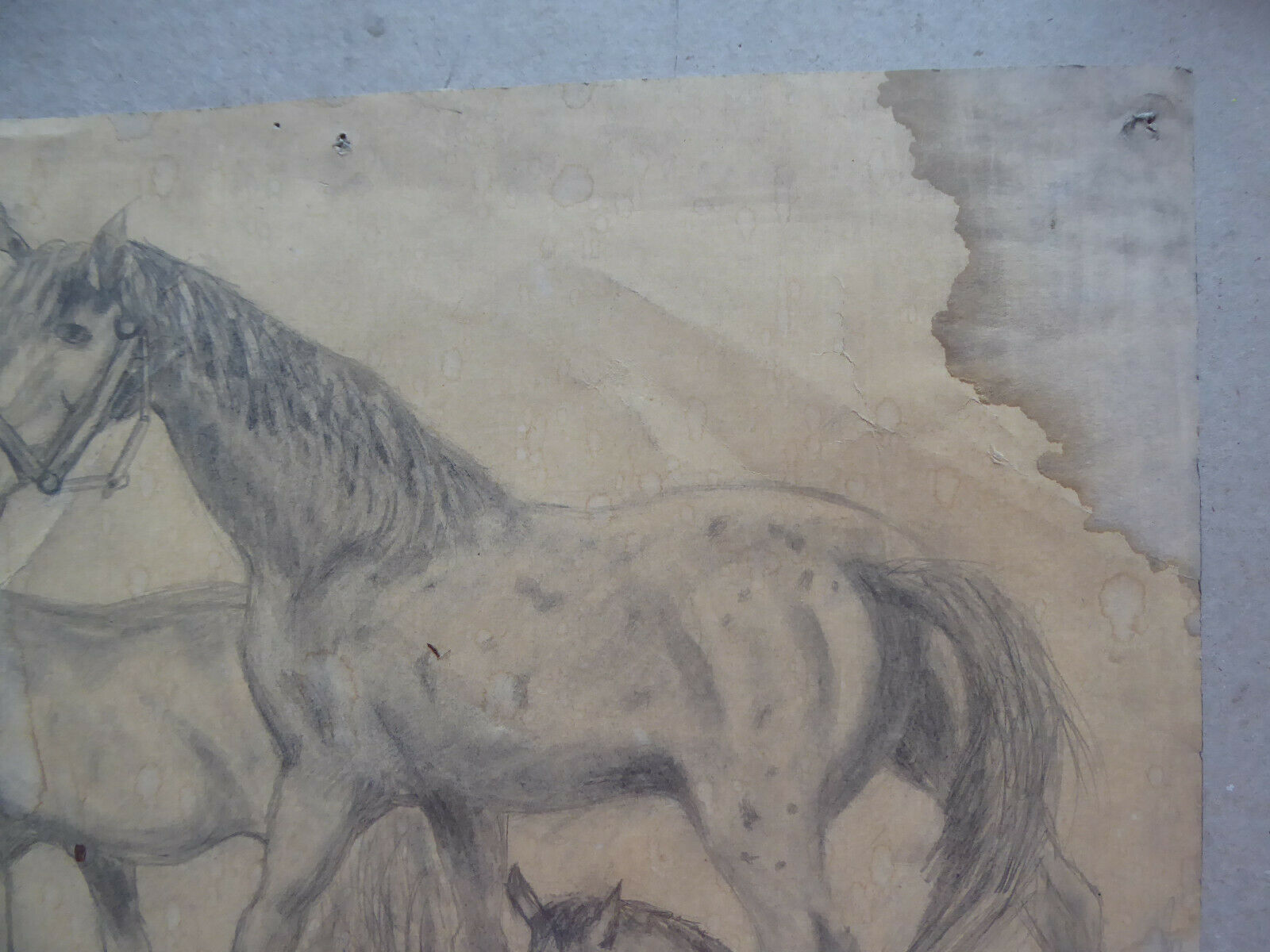 VECCHIO DISEGNO CON CAVALLI EQUESTRE FIRMATO TAJADA SPAGNA '900 QUADRO MD10 - Belbello Antiques