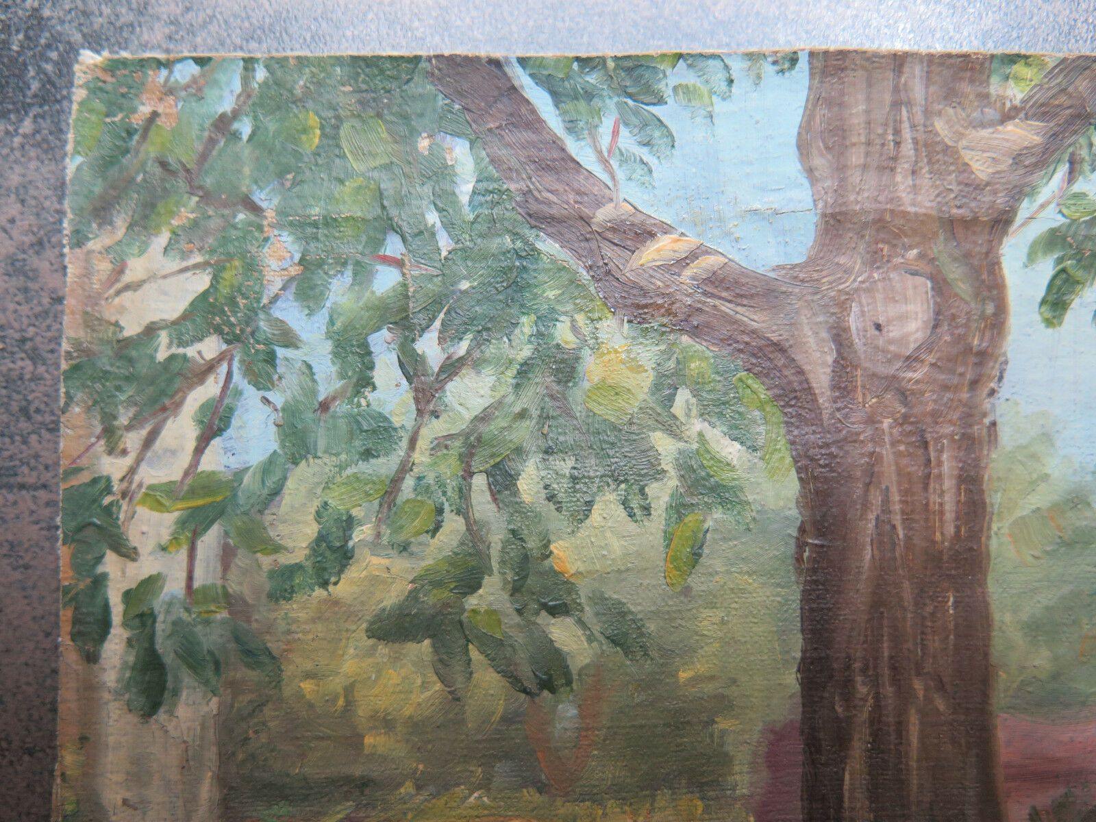 QUADRO ANTICO DIPINTO SU TAVOLA VEDUTA PAESAGGIO CON ALBERI ORIGINALE p1 - Belbello Antiques