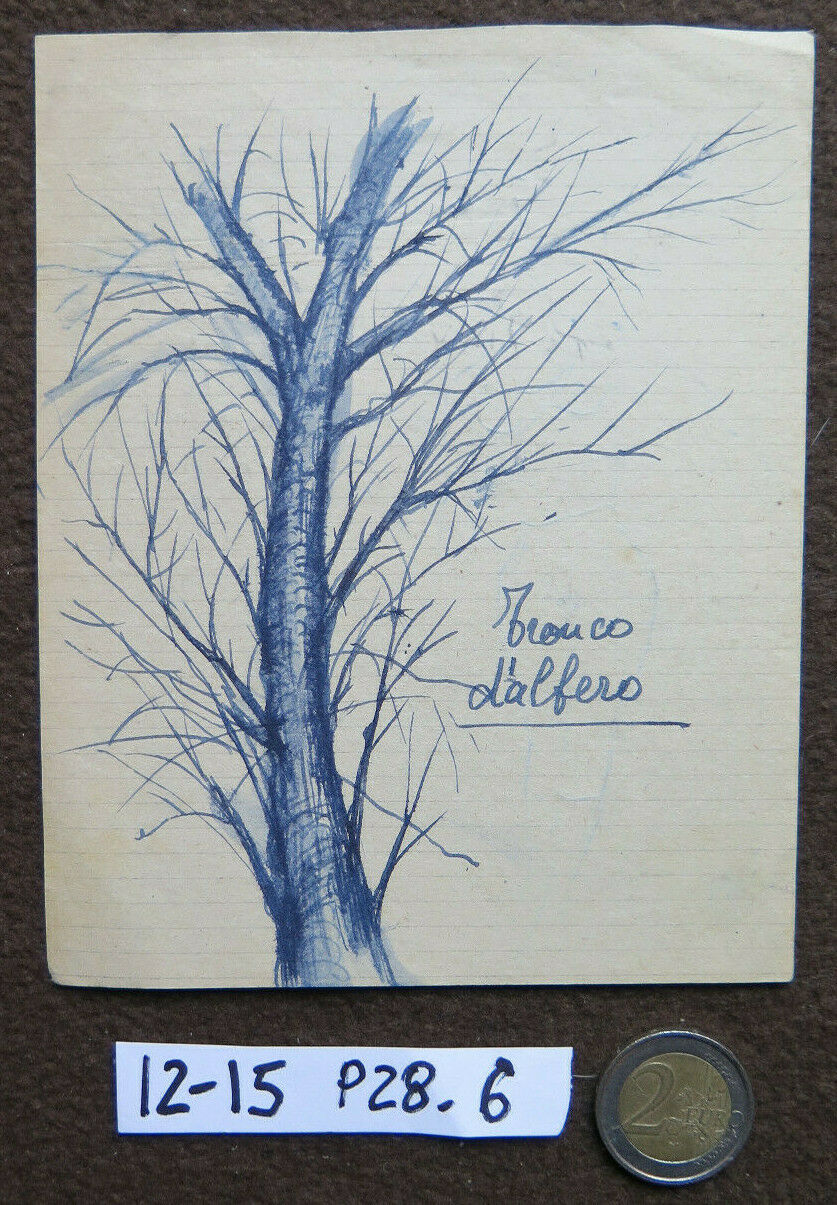 ANTIQUE SKETCH PEN ON PAPER 1940s DRAWING SKETCH TREE TRUNK P28.6