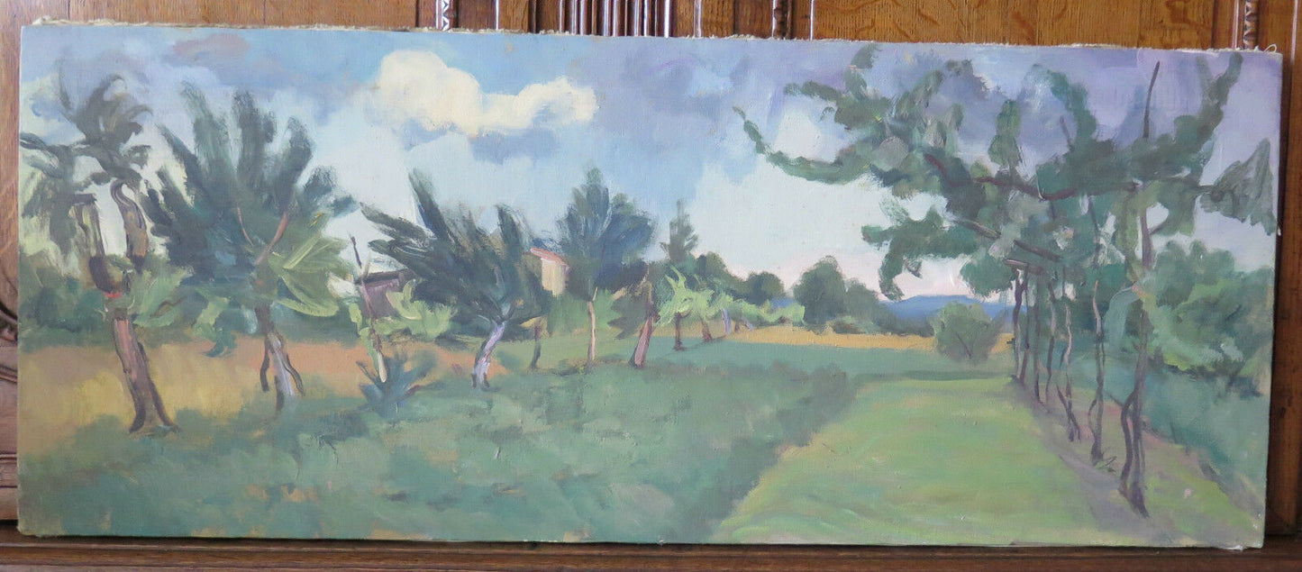 QUADRO ANTICO EPOCA 900 AUTORE PANCALDI PAESAGGIO PAESAGGIO DI CAMPAGNA p17