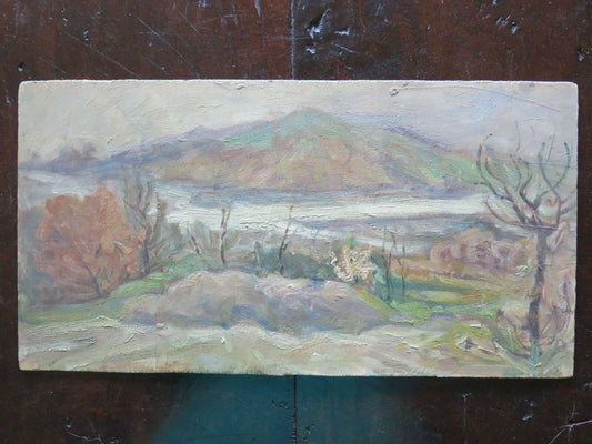 ANTICO DIPINTO AD OLIO SU TAVOLA PAESAGGIO STILE IMPRESSIONISTA MODENA 1960 p18 - Belbello Antiques