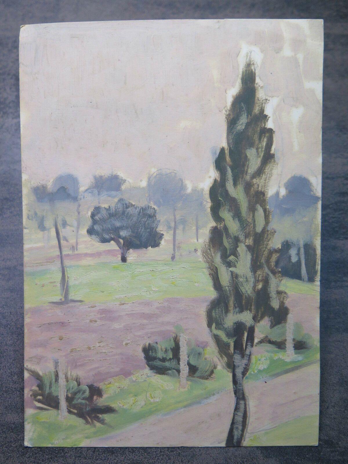 PICCOLO DIPINTO ANTICO OLIO SU TAVOLA QUADRO PAESAGGIO CON ALBERI ORIGINALE p1 - Belbello Antiques