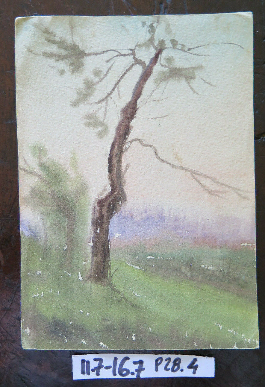 SKETCH PAINTED IN WATERCOLOR COUNTRYSIDE LANDSCAPE AUTHOR G. PANCALDI 1948 P28.4