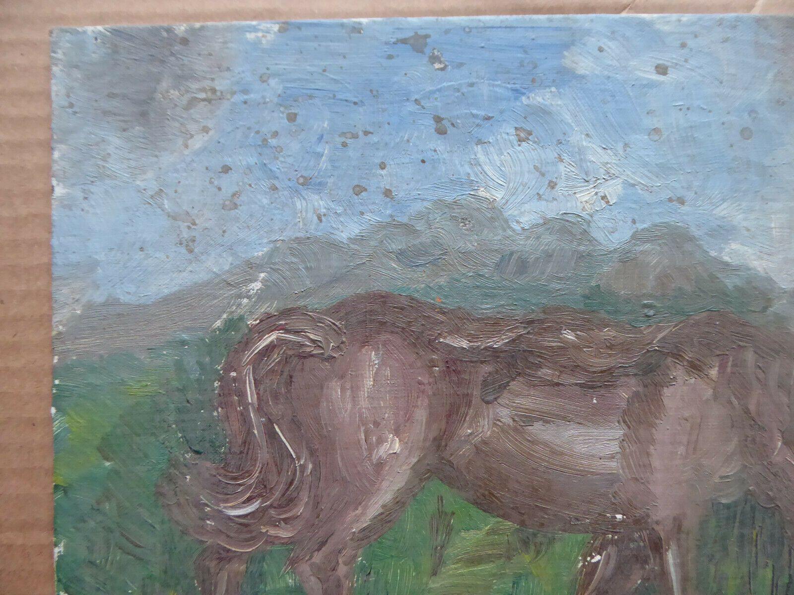 24x19cm QUADRO ANTICO PICCOLA MISURA CON CAVALLO SPAGNA PRIMA METÀ DEL 900 MD10 - Belbello Antiques