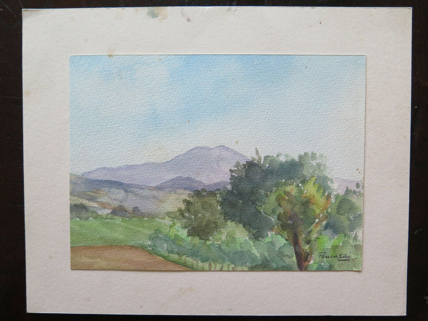 PICCOLO DIPINTO AD ACQUERELLO FIRMATO E DATATO 1949 PAESAGGIO CAMPI 19x14 cm P14