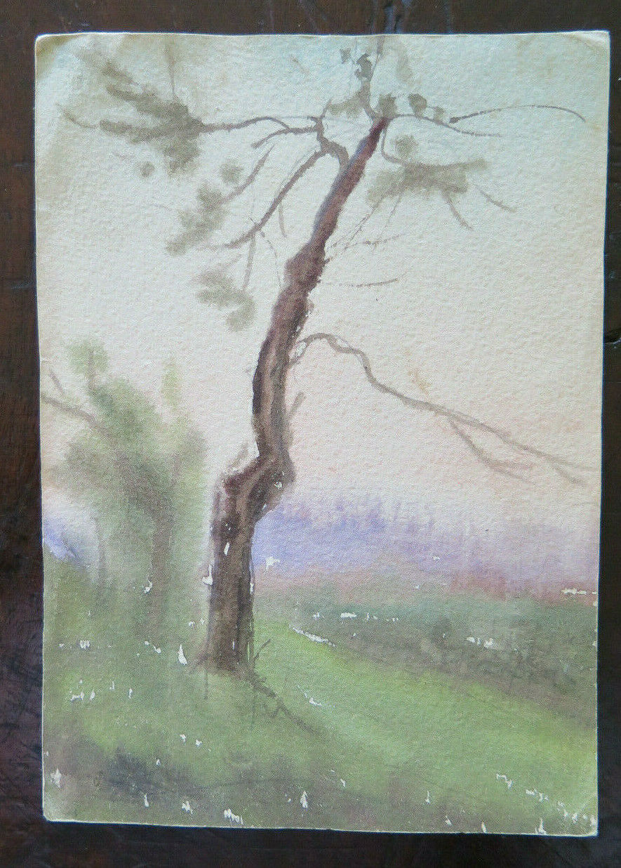 SKETCH PAINTED IN WATERCOLOR COUNTRYSIDE LANDSCAPE AUTHOR G. PANCALDI 1948 P28.4