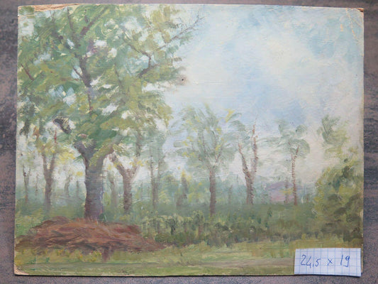 ANTICO DIPINTO AD OLIO SU TAVOLA QUADRO PAESAGGIO DI CAMPAGNA ORIGINALE p1 - Belbello Antiques