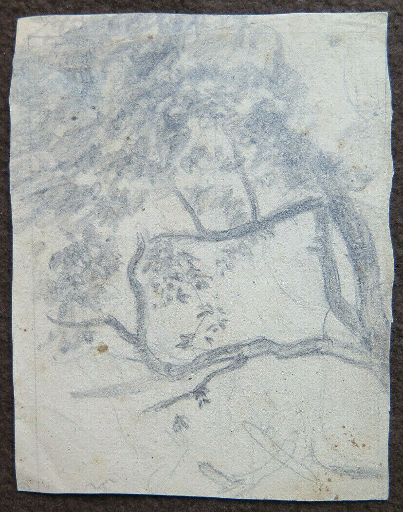 DISEGNO ANTICO CON STUDIO PER CORPO UMANO 1940 1950 MATITA SU CARTA P28.6 - Belbello Antiques