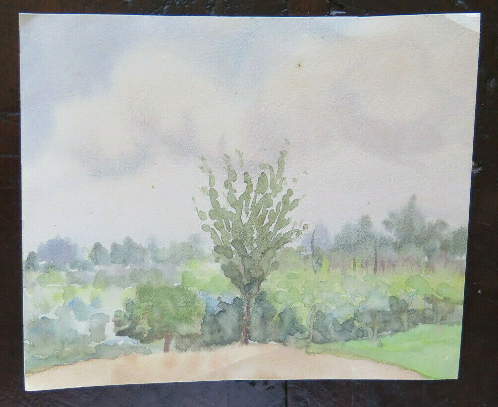 OLD WATERCOLOR ON PAPER SKETCH SKETCH COUNTRY LANDSCAPE VINEYARDS P28.4