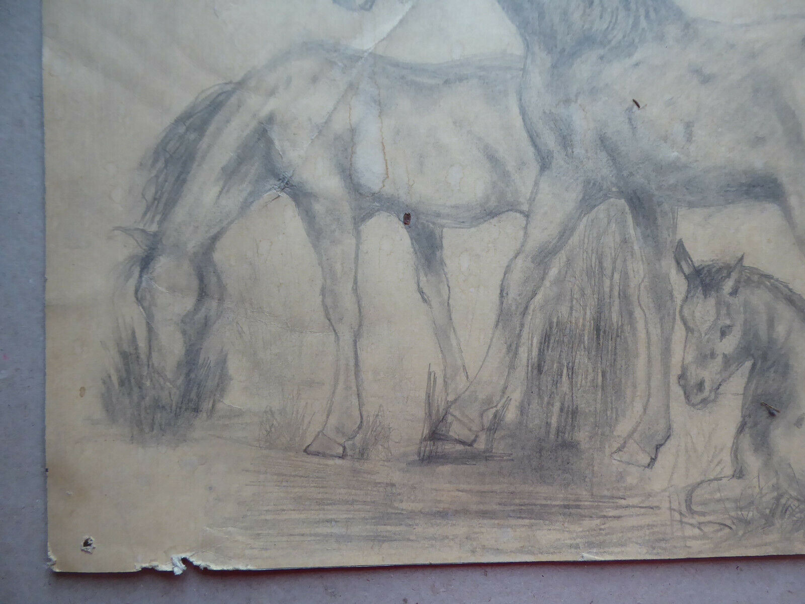 VECCHIO DISEGNO CON CAVALLI EQUESTRE FIRMATO TAJADA SPAGNA '900 QUADRO MD10 - Belbello Antiques