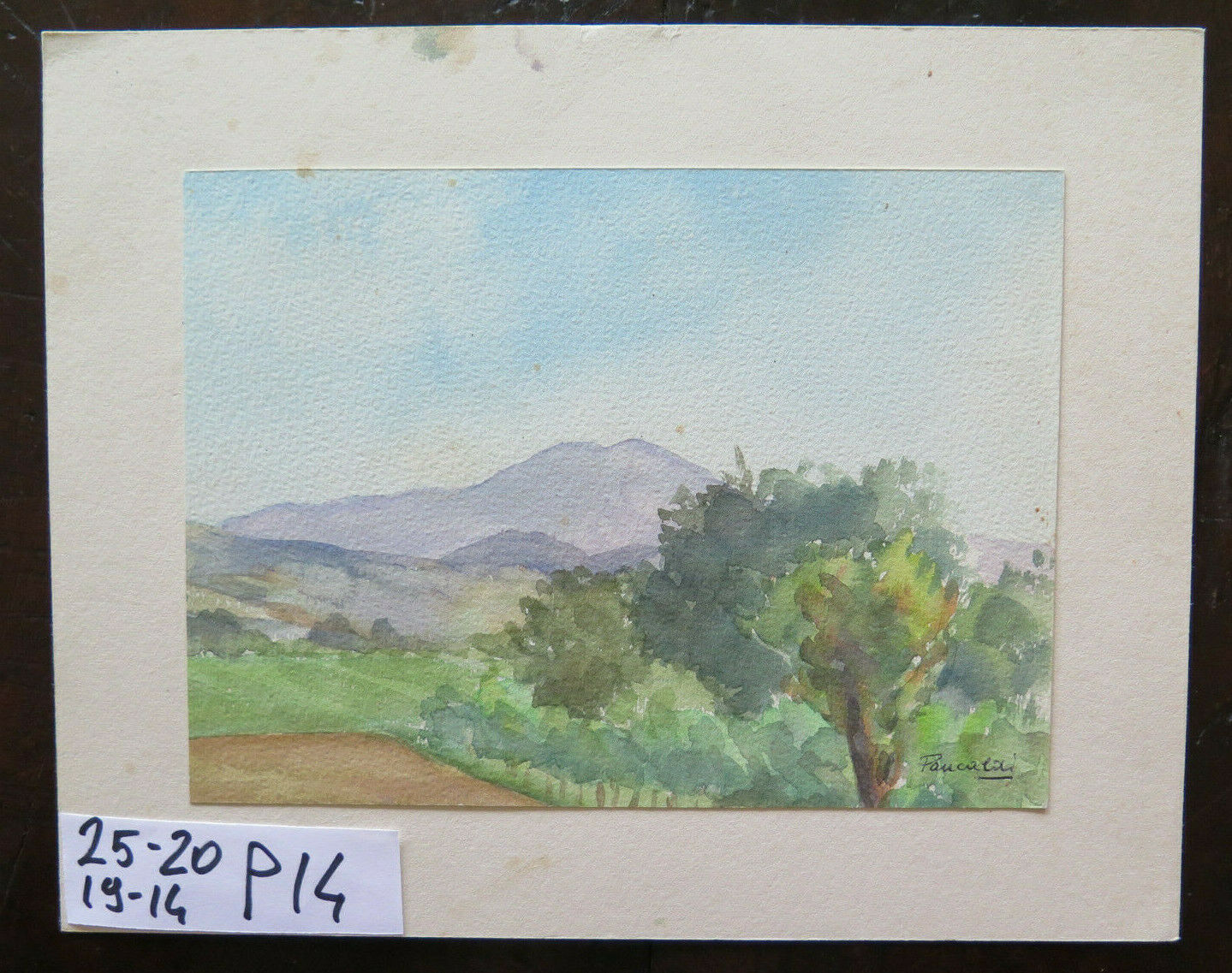 PICCOLO DIPINTO AD ACQUERELLO FIRMATO E DATATO 1949 PAESAGGIO CAMPI 19x14 cm P14