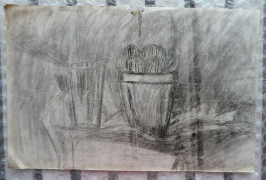 DISEGNO ANTICO INTERNO PIANTA ED OGGETTI STUDIO BOZZETTO INIZIO 900 MATITA MD10 - Belbello Antiques