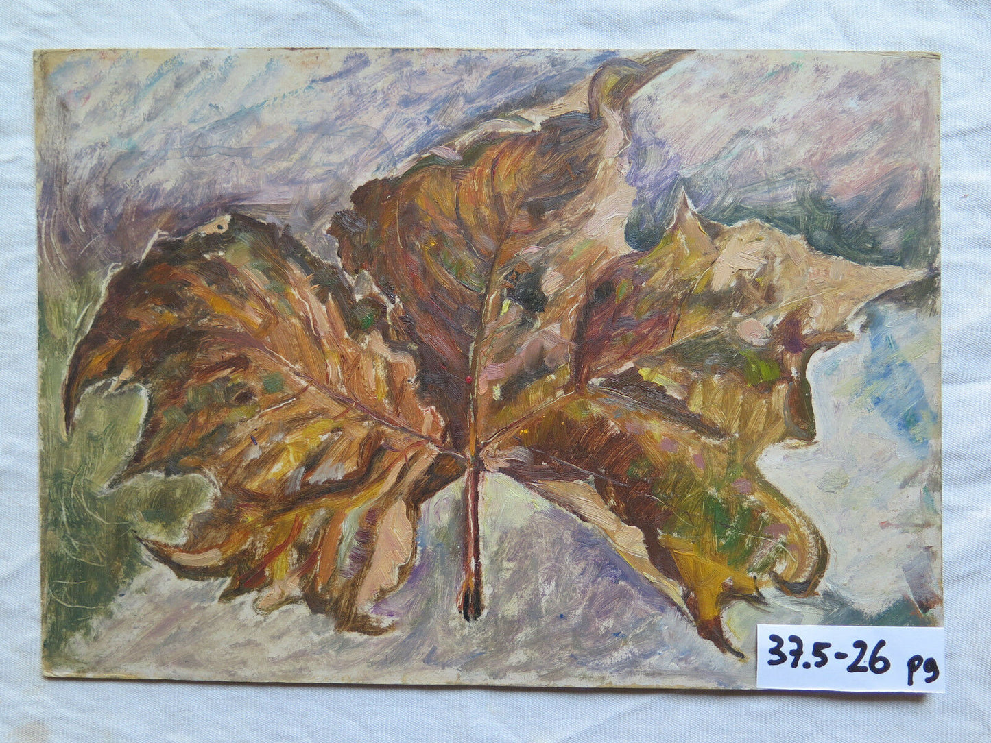 OIL PAINTING ORIGINAL WORK BY THE PAINTER G. PANCALDI OF MODENA STILL LIFE p9 