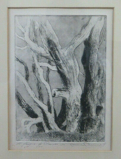 OLD NUMBERED ETCHING WORK BY ARTIST CARMEN BARUCCHI PRINT TREES BM52 