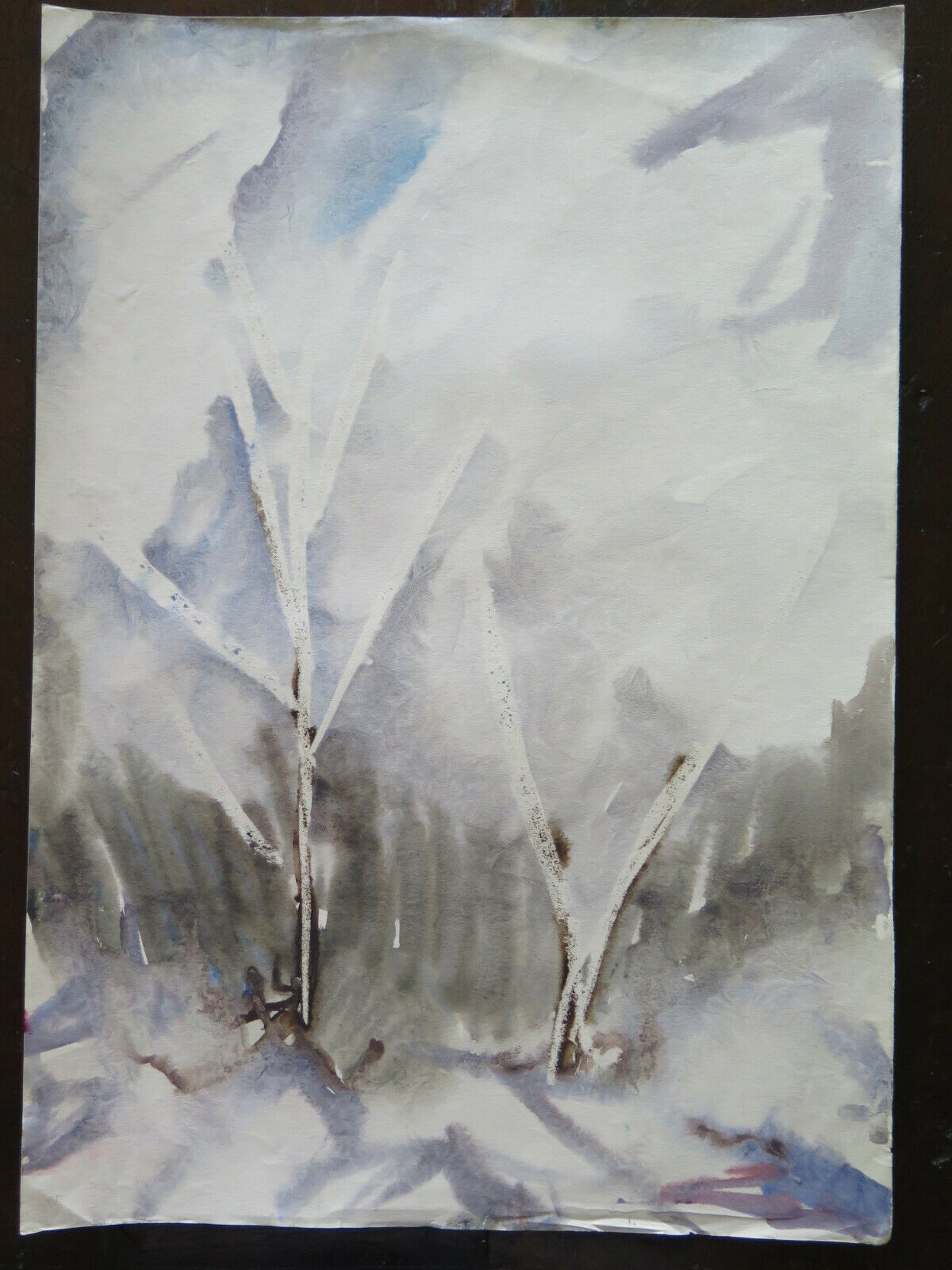 WATERCOLOR PAINTING PAINTED WITH THE FROST TECHNIQUE WINTER LANDSCAPE 36x50 cm P14