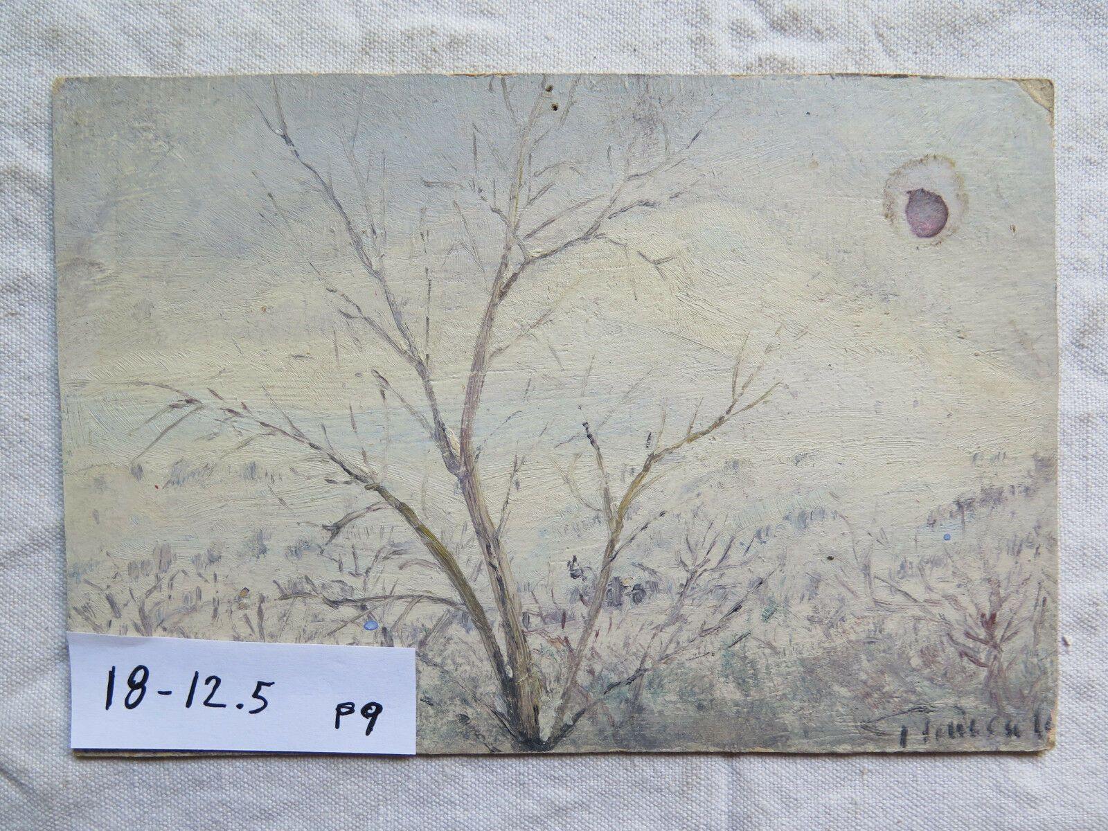 PAESAGGIO INVERNALE PICCOLO QUADRO DIPINTO OLIO SU TAVOLA FIRMATO ORIGINALE p9 - Belbello Antiques