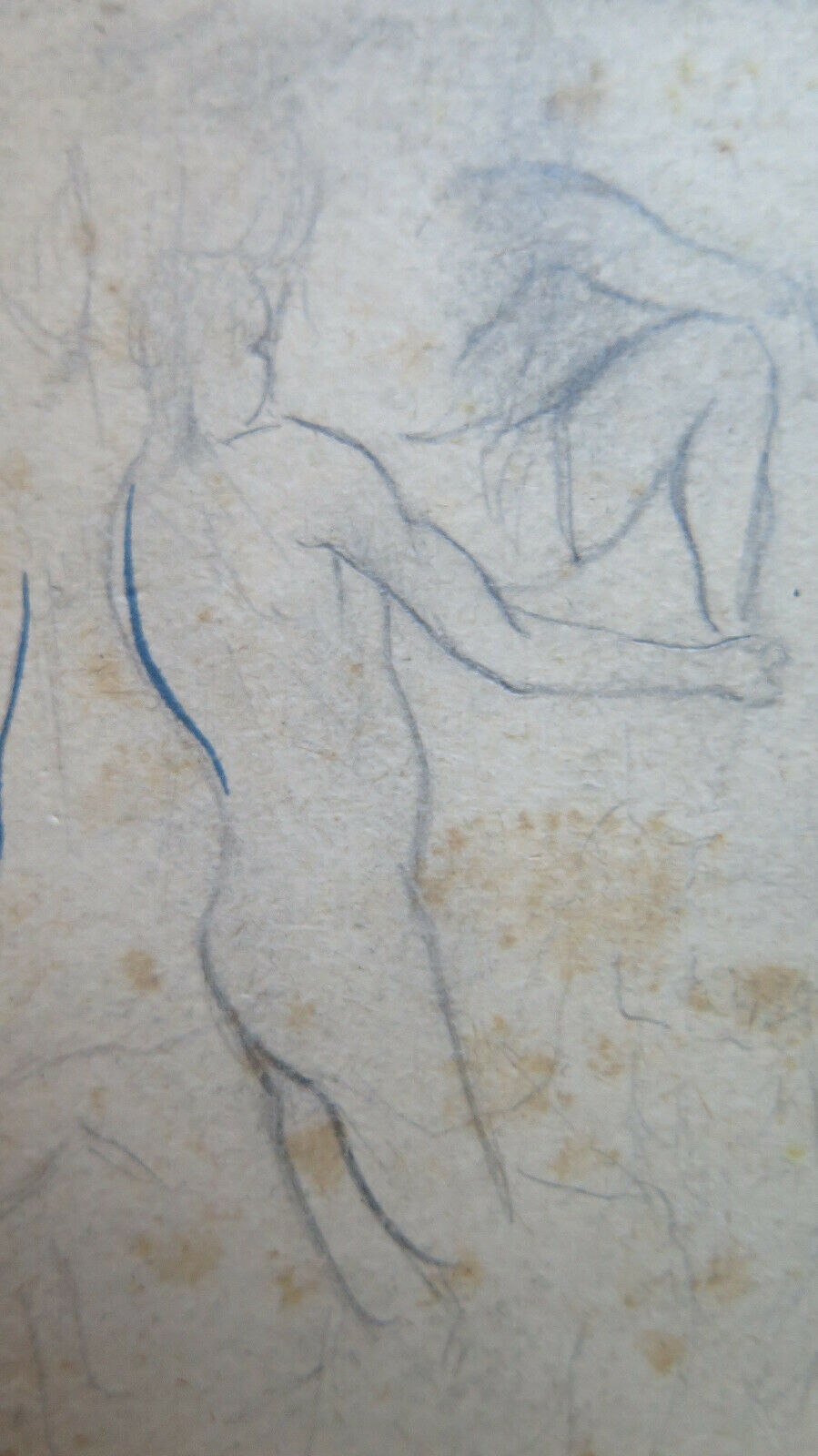 DISEGNO ANTICO CON STUDIO PER CORPO UMANO 1940 CIRCA MATITA SU CARTA P28.6 - Belbello Antiques