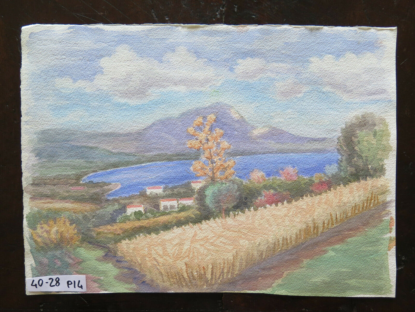 QUADRO VINTAGE DIPINTO ACQUERELLO PAESAGGIO CAMPAGNA EMILIA ROMAGNA 40x28 cm P14