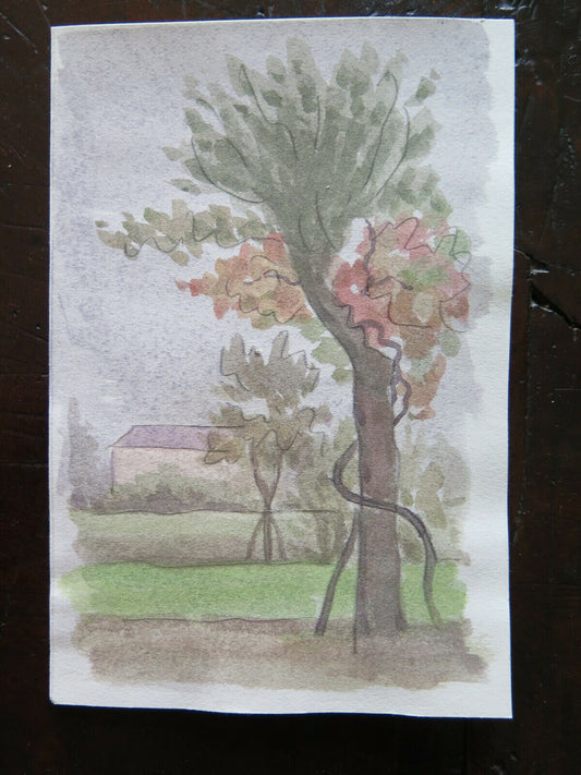 PICCOLO QUADRO VINTAGE DIPINTO ACQUERELLO PAESAGGIO VEDUTA CAMPAGNA 14x20 cm P14