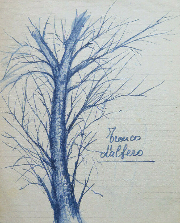 ANTIQUE SKETCH PEN ON PAPER 1940s DRAWING SKETCH TREE TRUNK P28.6