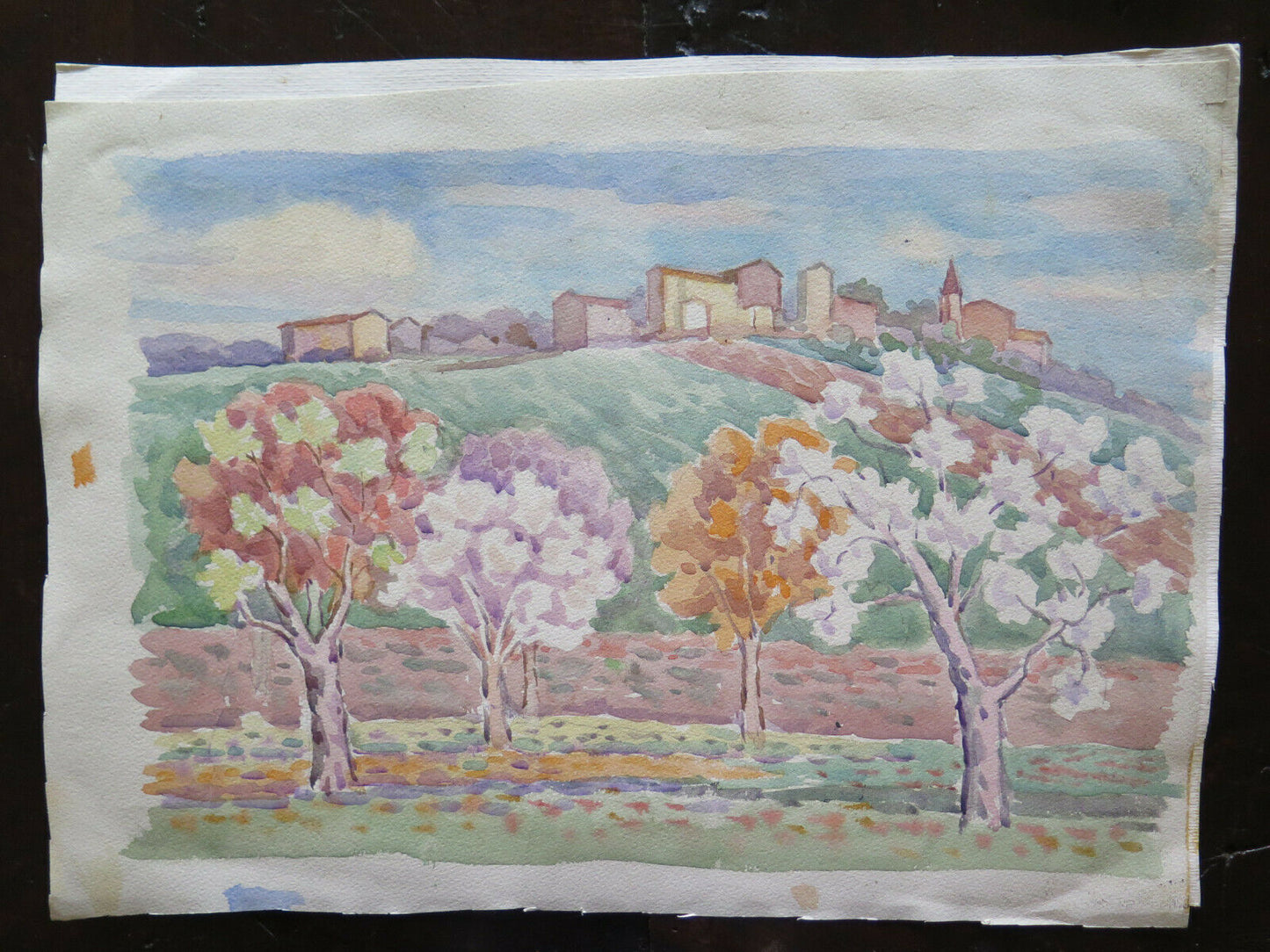 VIEW OF A VILLAGE EMILIA ROMAGNA OLD PAINTING BY LOCAL PAINTER 44x33 cm P14