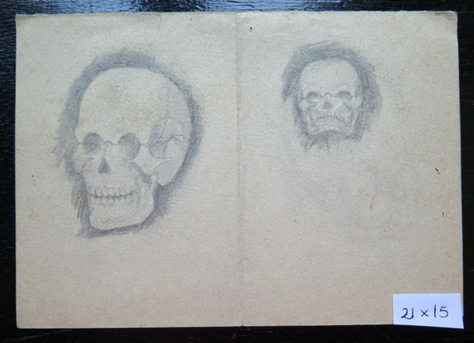 ANTIQUE DRAWING PENCIL ON STUDIO PAPER SKETCH WITH SKULLS SKULL BONES P28