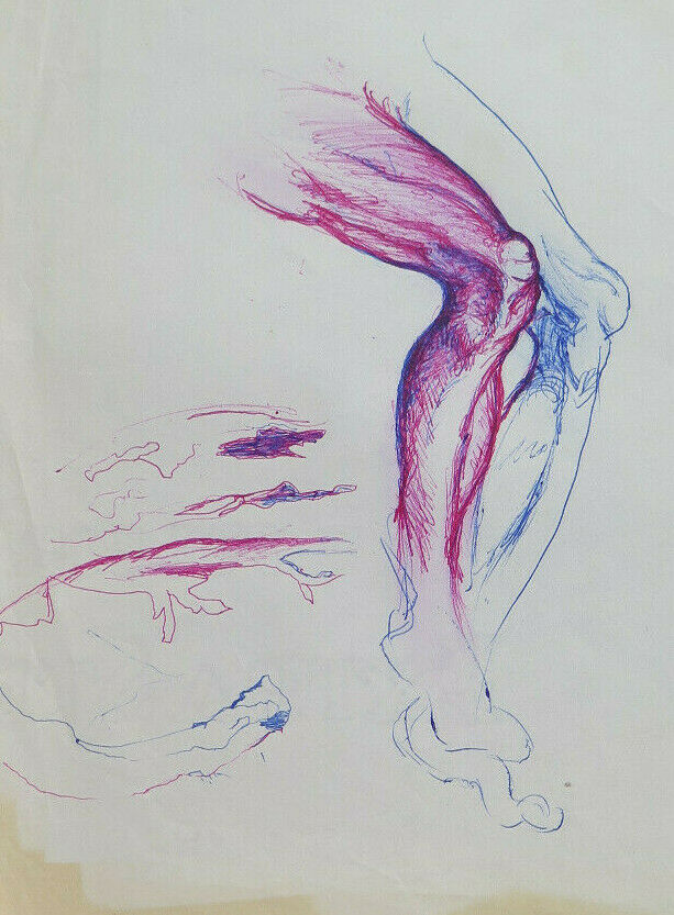 VECCHIO DISEGNO BOZZETTO STUDIO ANATOMICO CORPO MASCHILE GAMBE NUDO P28.9