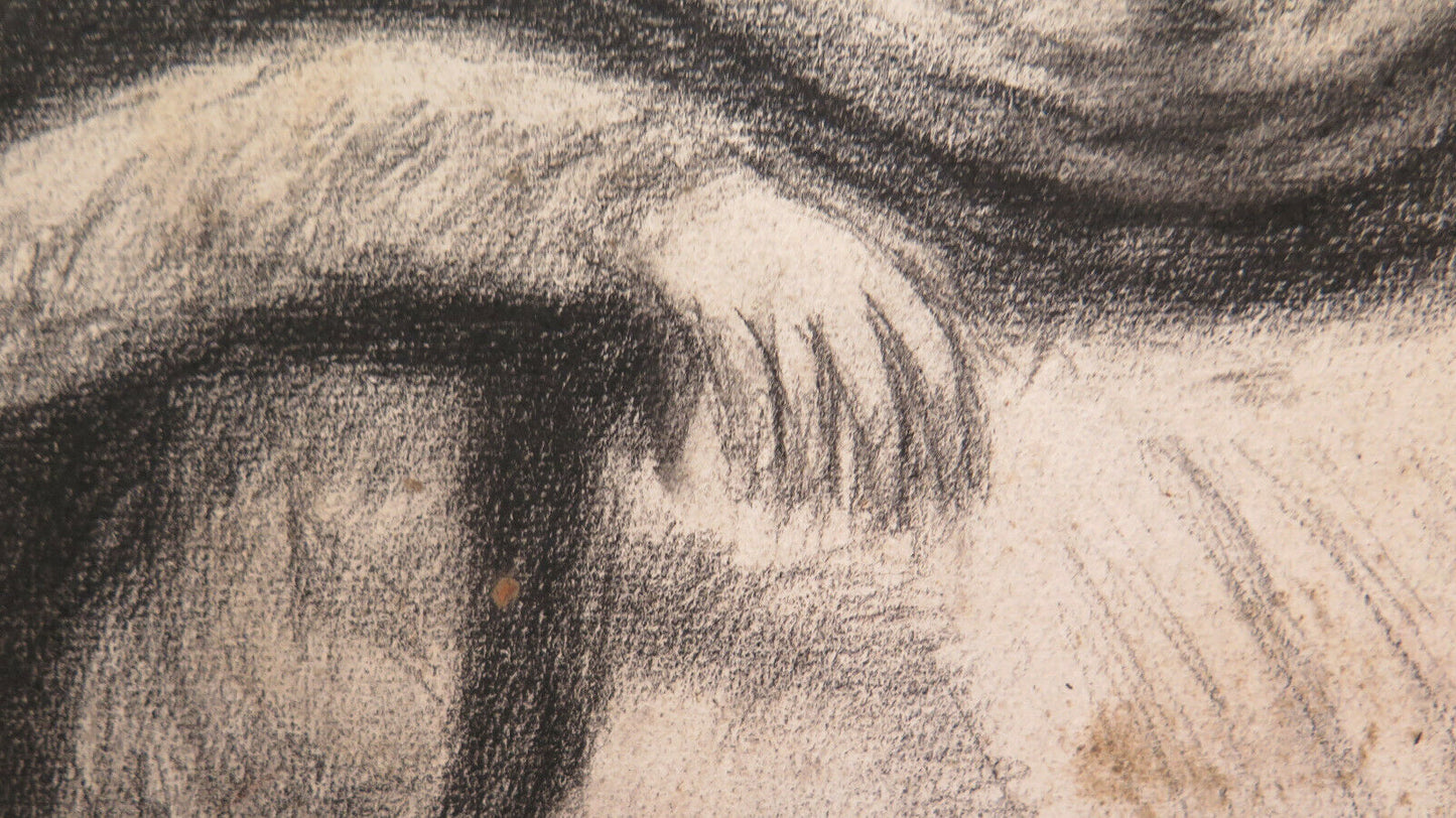 DISEGNO ANTICO DAL Ritratto Innocenzo X DI Velázquez Pierre Duteurtre DUT BM53.1