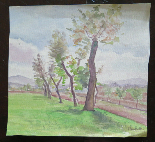 PAESAGGIO CAMPAGNA EMILIA ROMAGNA VECCHIO DIPINTO PITTORE LOCALE 33x31 cm P14