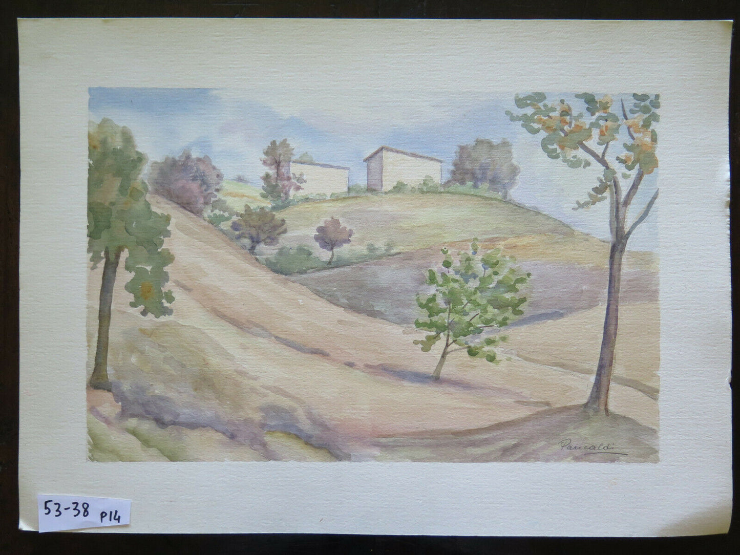 PAINTING LANDSCAPE OF THE EMILIAN HILLS SIGNED PANCALDI PAINTER OF MODENA P14