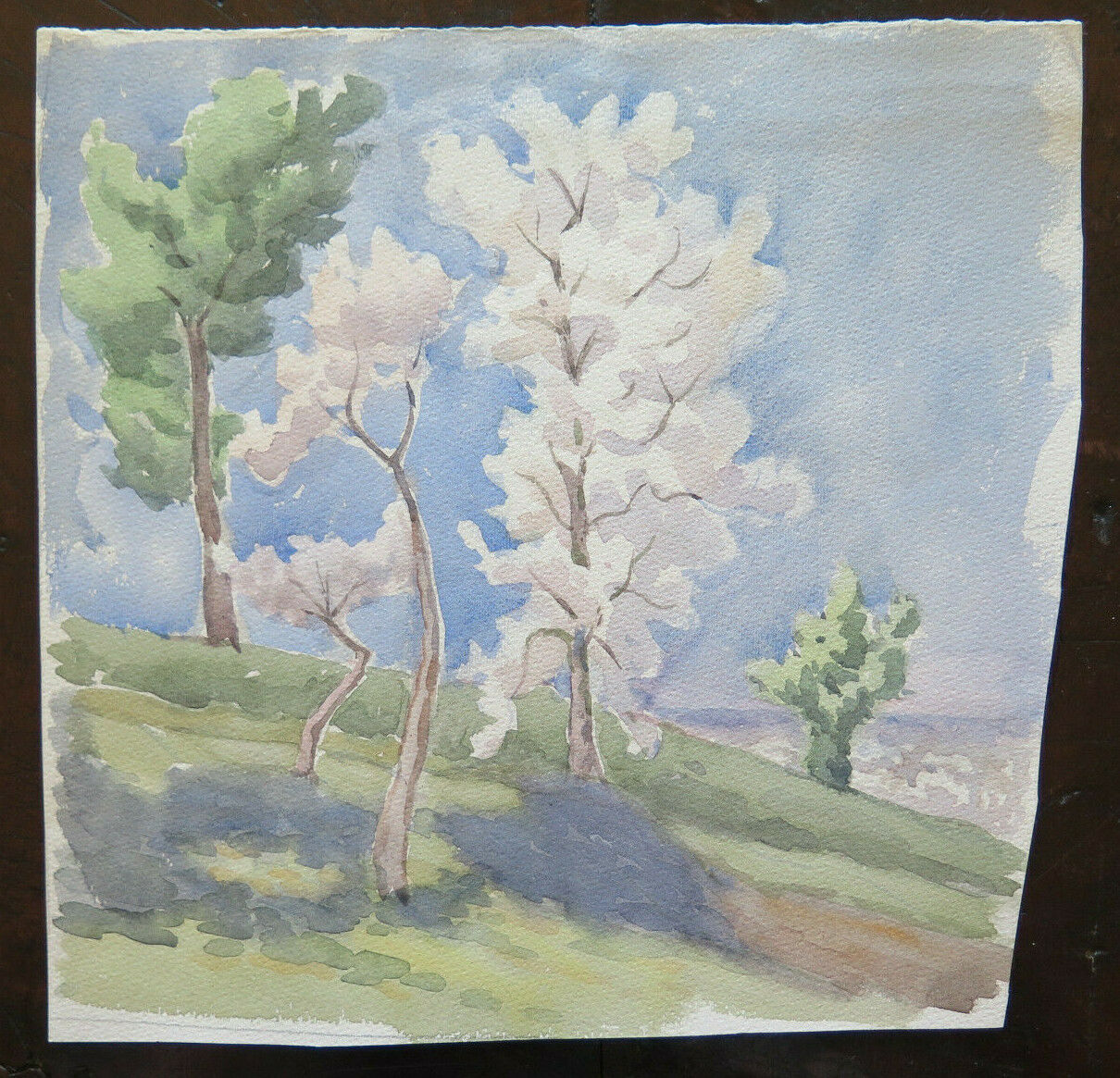 DIPINTO AD ACQUERELLO SU CARTA PAESAGGIO IN PRIMAVERA CON ALBERI IN FIORE P14