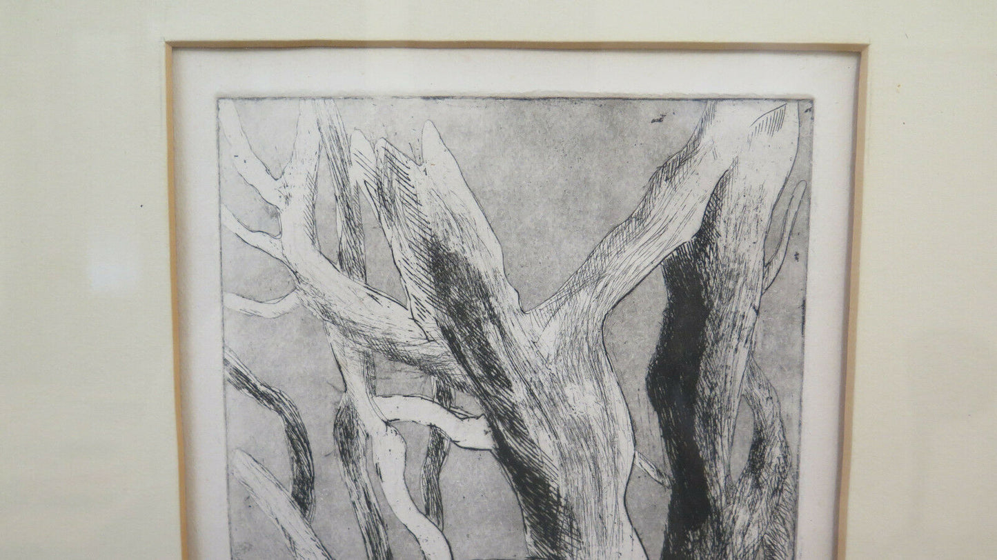 OLD NUMBERED ETCHING WORK BY ARTIST CARMEN BARUCCHI PRINT TREES BM52 