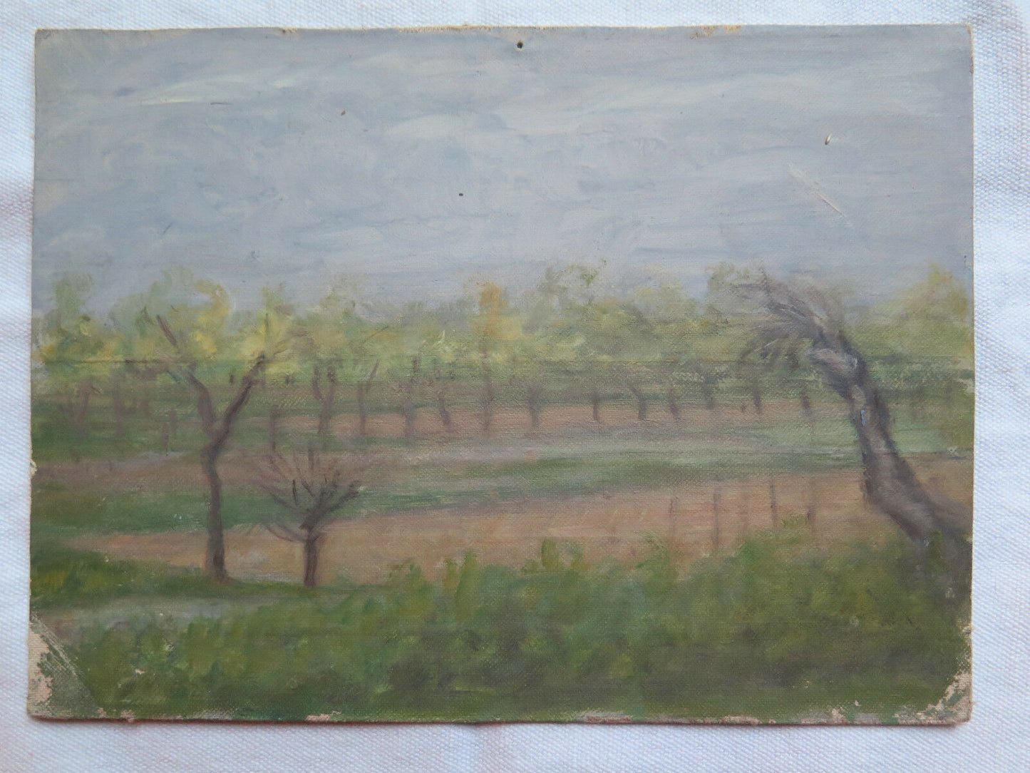 SMALL OIL PAINTING ON A TABLE FROM THE 1950S WITH WARRANTY CERTIFICATE p11