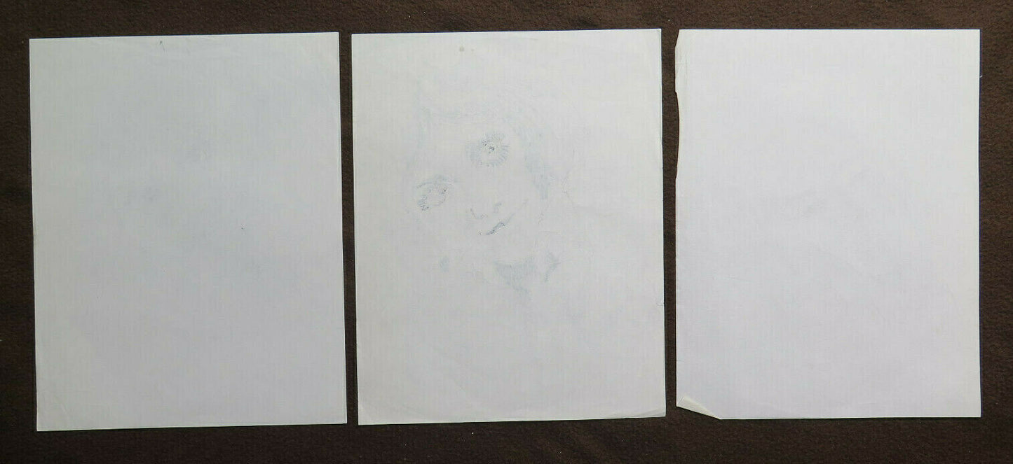 THREE OLD DRAWINGS SKETCHES PORTRAIT FEMALE FACE EXPRESSION SKETCH P28.8