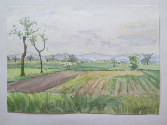 QUADRO DIPINTO ACQUERELLO PAESAGGIO FIRMATO EMILIA ROMAGNA VINTAGE 31x22 cm P14