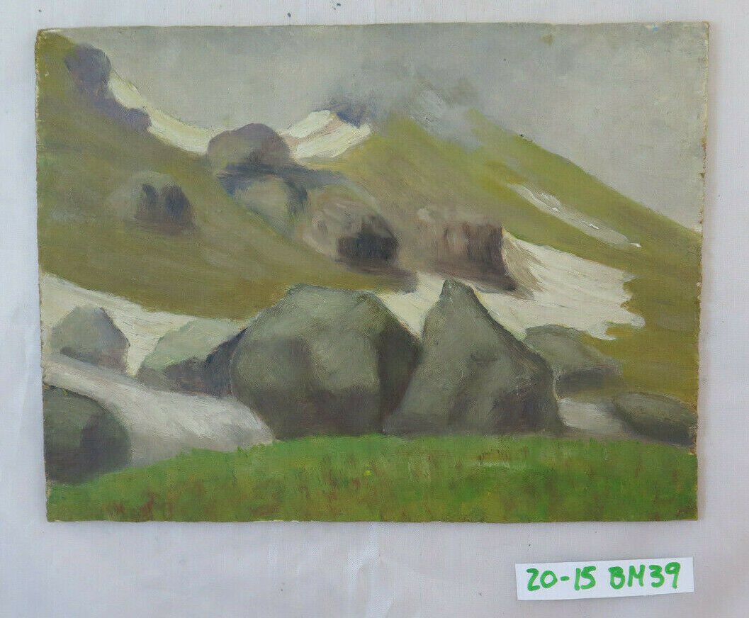 OLD OIL PAINTING LANDSCAPE ALPS PIAN DELLA MUSSA SIGNED DELFINO GAGNOR BM39 