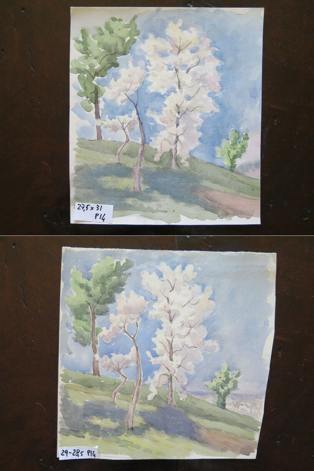 DIPINTO AD ACQUERELLO SU CARTA PAESAGGIO IN PRIMAVERA CON ALBERI IN FIORE P14