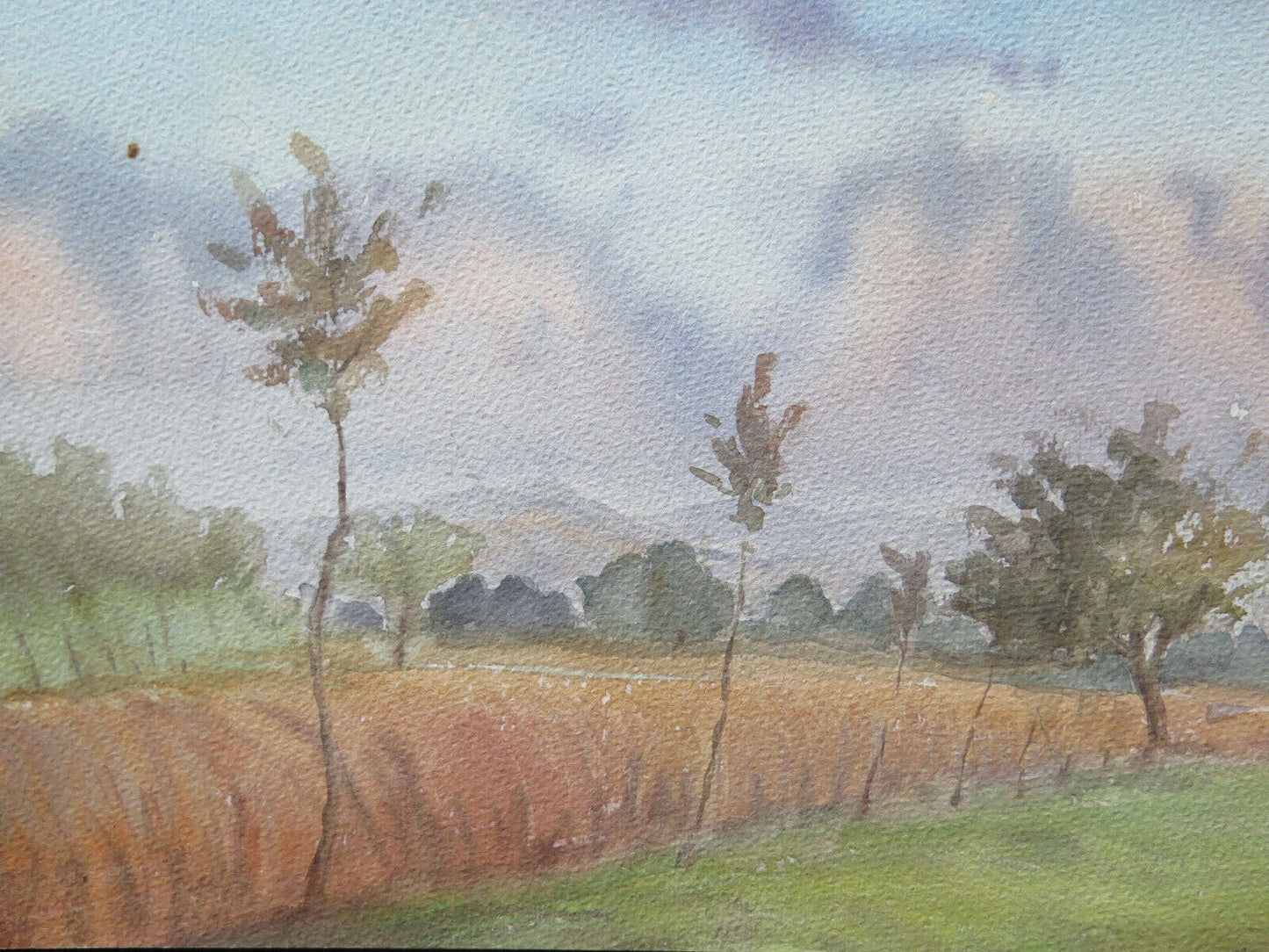 OLD WATERCOLOR PAINTING LANDSCAPE SIGNED EMILIA ROMAGNA VINTAGE 31x19 cm P14