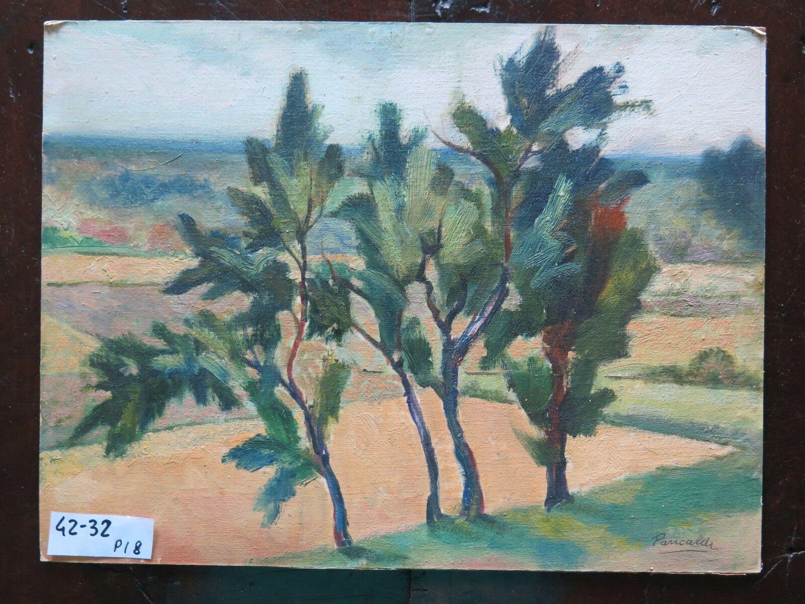 LA CAMPAGNA DI MODENA IN ESTATE QUADRO ANTICO DIPINTO OLIO FIRMATO PANCALDI p18 - Belbello Antiques