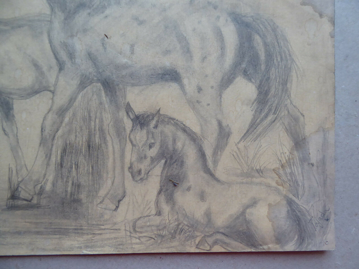 VECCHIO DISEGNO CON CAVALLI EQUESTRE FIRMATO TAJADA SPAGNA '900 QUADRO MD10 - Belbello Antiques