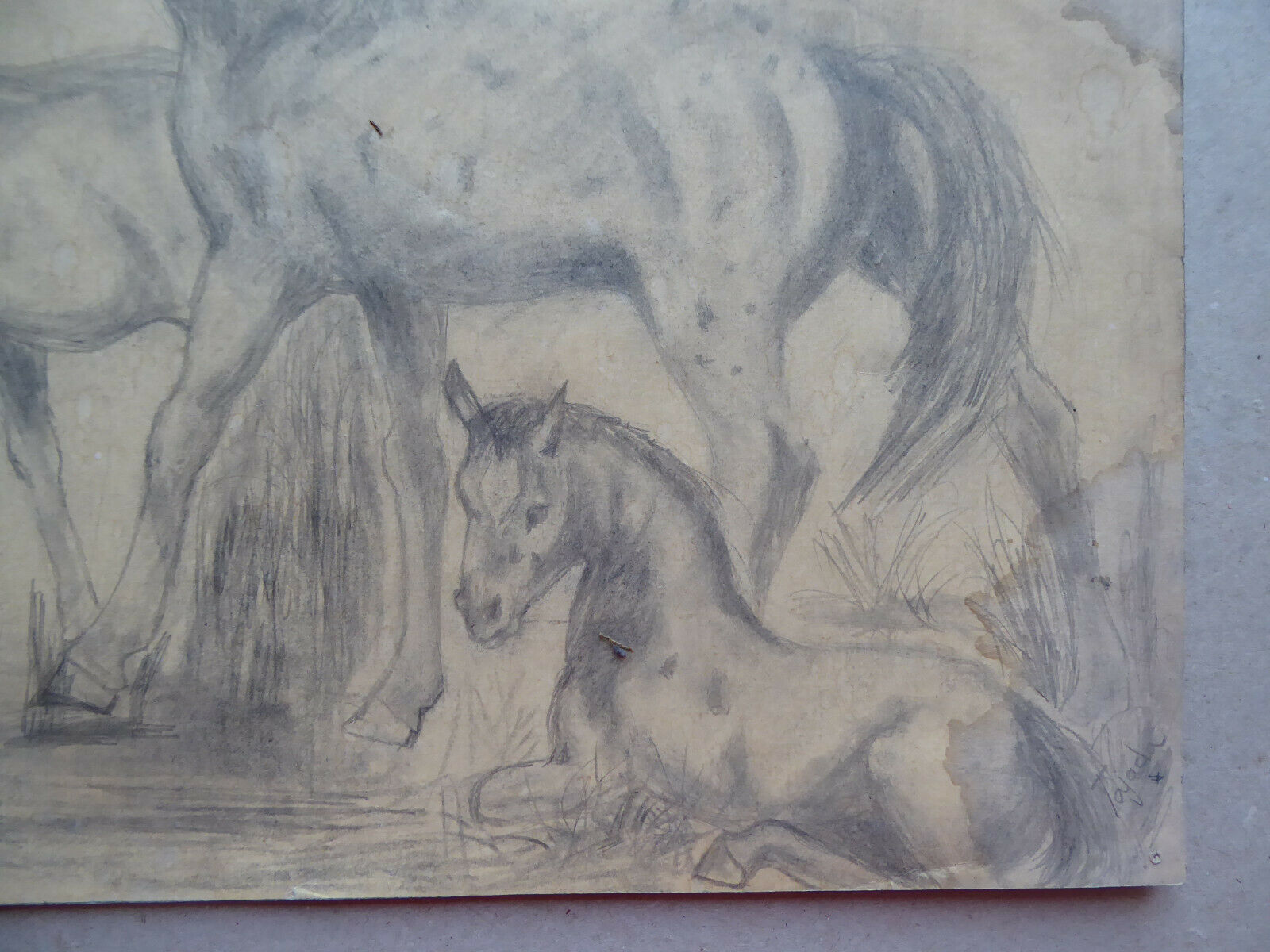 VECCHIO DISEGNO CON CAVALLI EQUESTRE FIRMATO TAJADA SPAGNA '900 QUADRO MD10 - Belbello Antiques