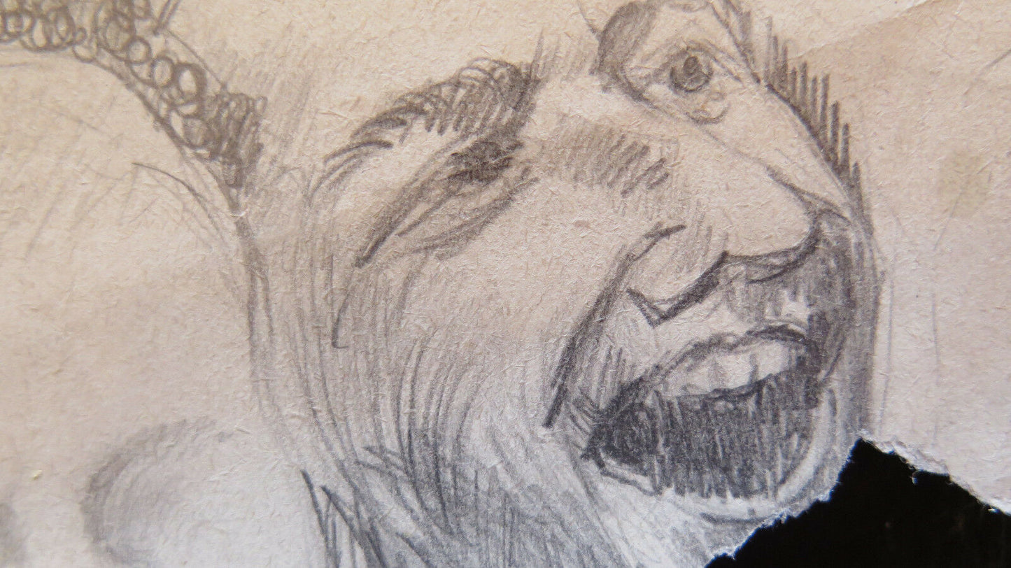 ANCIENT DRAWING WITH STUDY FOR HUMAN FACES MALE PORTRAITS SKETCH P28.5